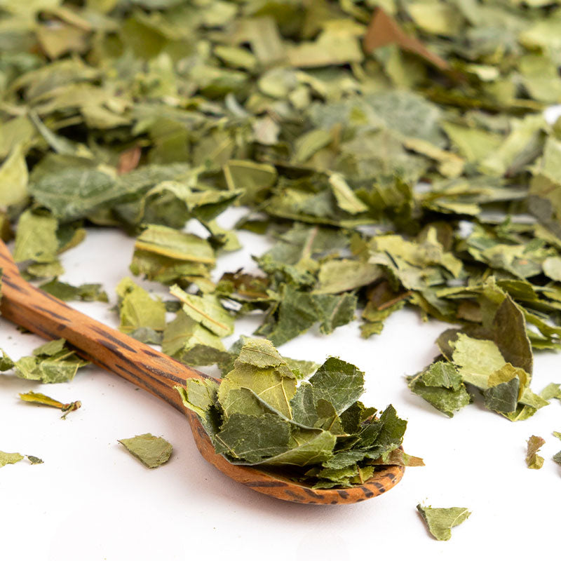 Tisane de Couachi