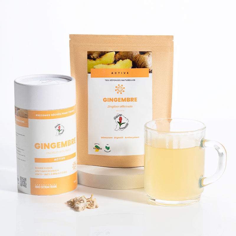 Tisane de Gingembre