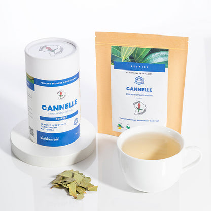 Tisane de Cannelle